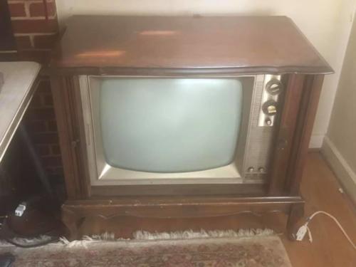 56363570 10205669364209866 3275383210011262976 n